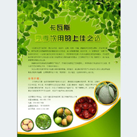 产品宣传单设计欣赏